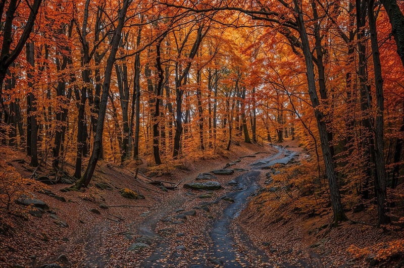 Rustic Splendor